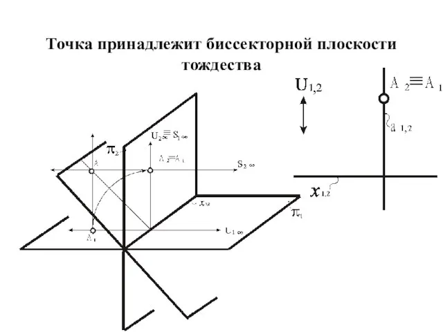 Точка принадлежит биссекторной плоскости тождества