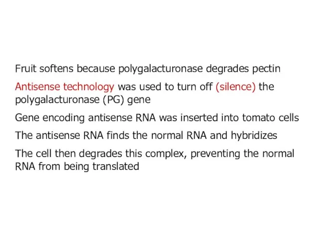 Fruit softens because polygalacturonase degrades pectin Antisense technology was used to turn