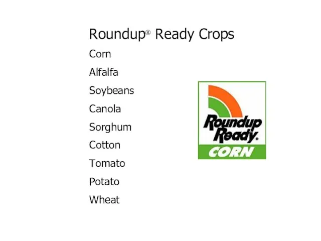 Roundup® Ready Crops Corn Alfalfa Soybeans Canola Sorghum Cotton Tomato Potato Wheat