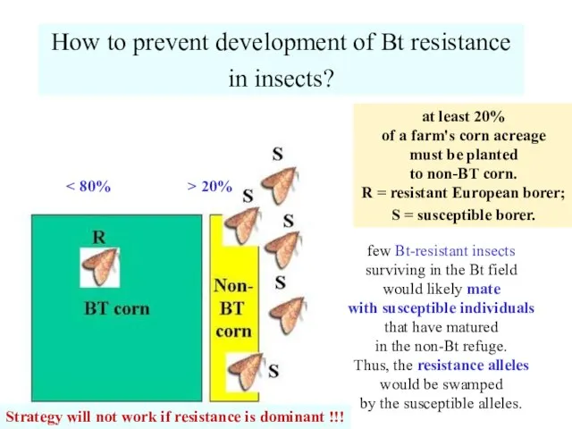How to prevent development of Bt resistance in insects? at least 20%