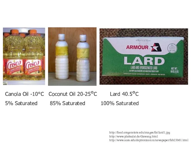 http://food.oregonstate.edu/images/fat/lard1.jpg http://www.plattsalat.de/Gawang.html http://www.aces.edu/dept/extcomm/newspaper/feb23b01.html Canola Oil -10°C Coconut Oil 20-25°C Lard 40.5°C 5%