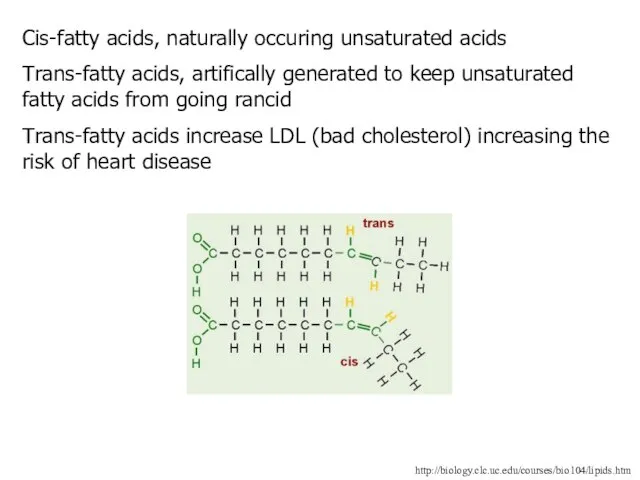 http://biology.clc.uc.edu/courses/bio104/lipids.htm Cis-fatty acids, naturally occuring unsaturated acids Trans-fatty acids, artifically generated to