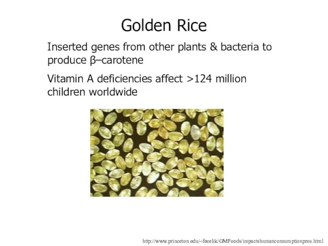 http://www.princeton.edu/~fecelik/GMFoods/impactshumanconsumptionpros.html Golden Rice Inserted genes from other plants & bacteria to produce