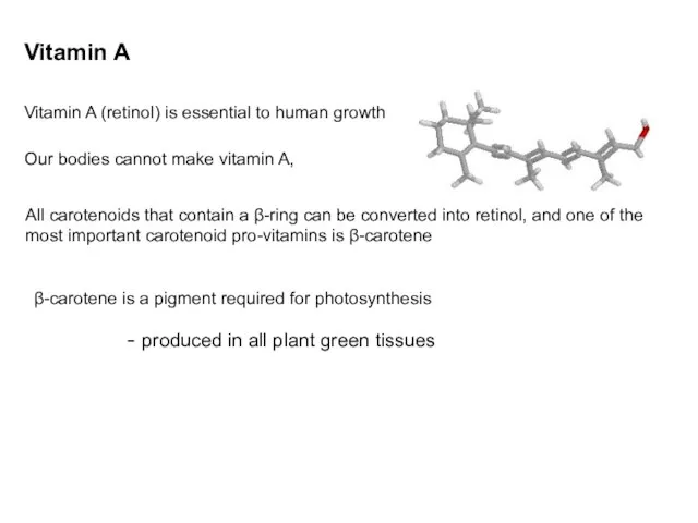 Vitamin A Vitamin A (retinol) is essential to human growth Our bodies