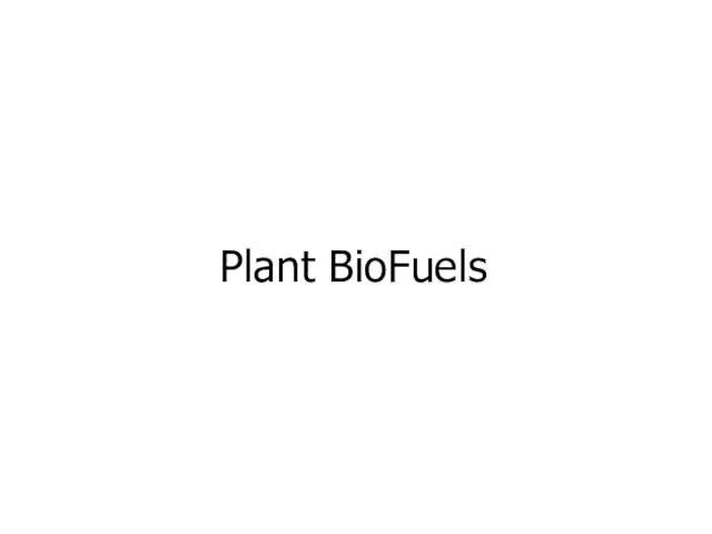 Plant BioFuels