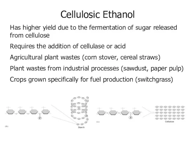 Cellulosic Ethanol Has higher yield due to the fermentation of sugar released