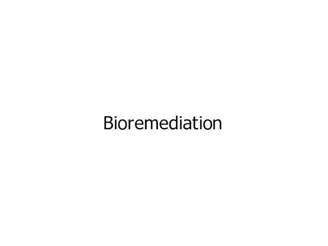 Bioremediation