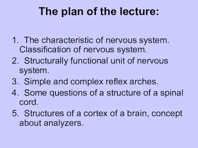 The plan of the lecture: 1. The characteristic of nervous system. Classification