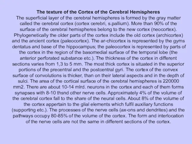 The texture of the Cortex of the Cerebral Hemispheres The superficial layer