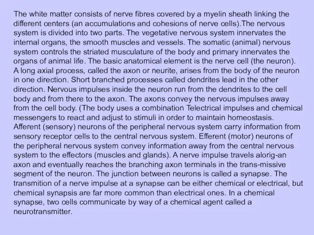 The white matter consists of nerve fibres covered by a myelin sheath