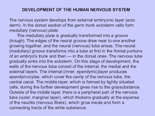 DEVELOPMENT OF THE HUMAN NERVOUS SYSTEM The nervous system develops from external