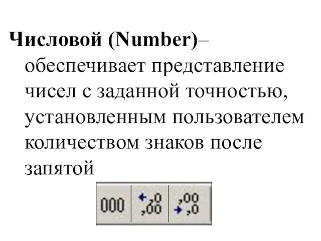 Числовой (Number)– обеспечивает представление чисел с заданной точностью, установленным пользователем количеством знаков после запятой