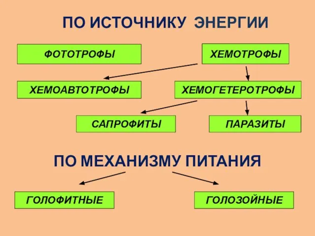 ПО ИСТОЧНИКУ ЭНЕРГИИ ФОТОТРОФЫ ХЕМОАВТОТРОФЫ ХЕМОТРОФЫ ХЕМОГЕТЕРОТРОФЫ САПРОФИТЫ ПАРАЗИТЫ ПО МЕХАНИЗМУ ПИТАНИЯ ГОЛОЗОЙНЫЕ ГОЛОФИТНЫЕ