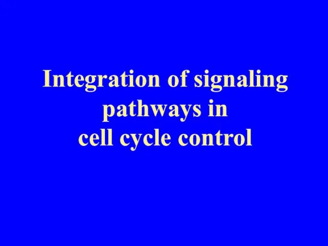 Integration of signaling pathways in cell cycle control