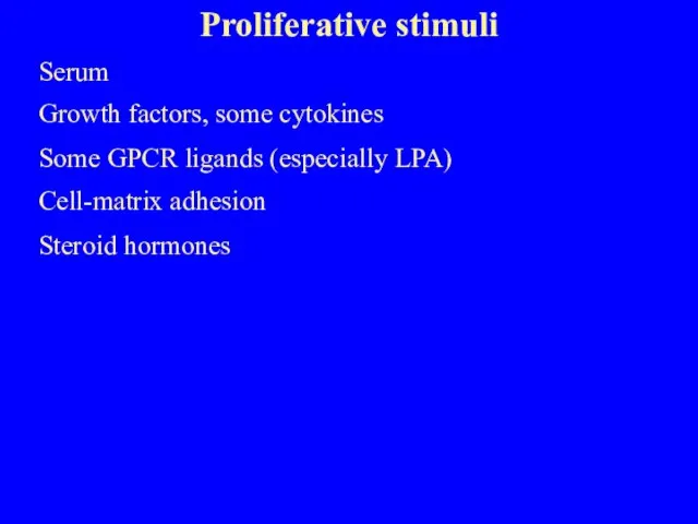 Proliferative stimuli Serum Growth factors, some cytokines Some GPCR ligands (especially LPA) Cell-matrix adhesion Steroid hormones