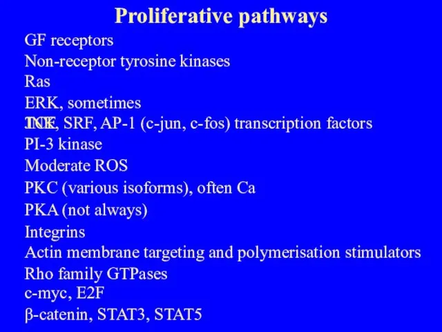 Proliferative pathways GF receptors Non-receptor tyrosine kinases Ras ERK, sometimes JNK TCF,