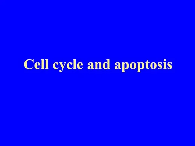 Cell cycle and apoptosis