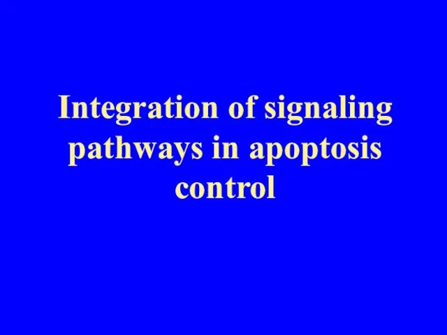 Integration of signaling pathways in apoptosis control