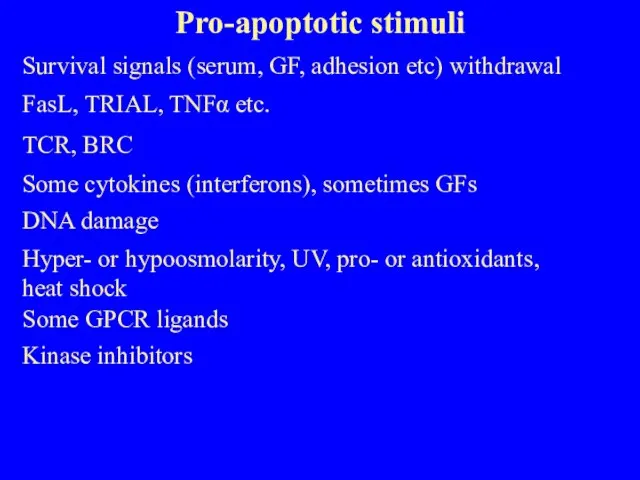 Pro-apoptotic stimuli Survival signals (serum, GF, adhesion etc) withdrawal FasL, TRIAL, TNFα