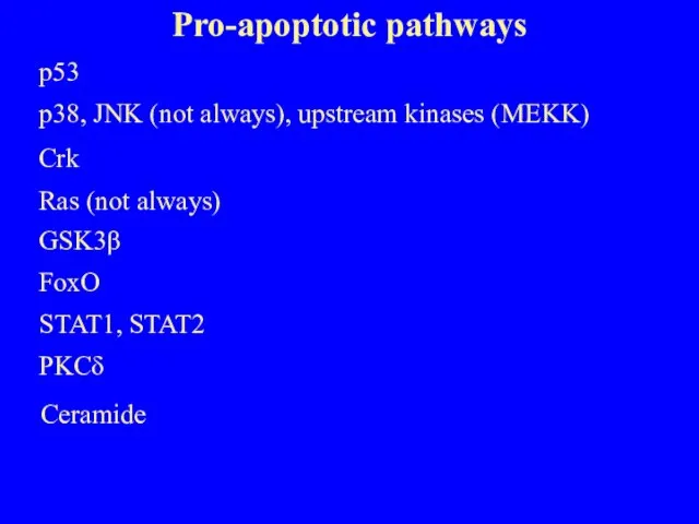 Pro-apoptotic pathways p53 p38, JNK (not always), upstream kinases (MEKK) Crk Ras