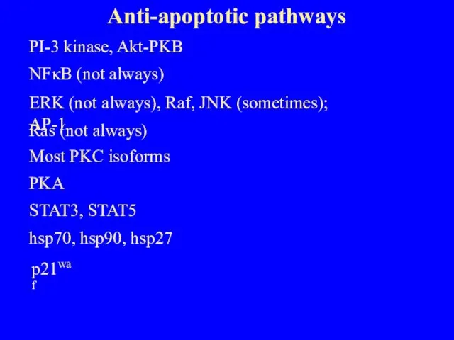 Anti-apoptotic pathways PI-3 kinase, Akt-PKB NFκB (not always) ERK (not always), Raf,
