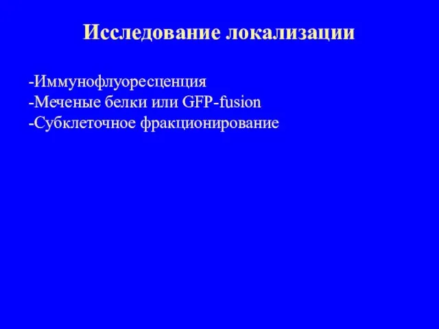 Исследование локализации Иммунофлуоресценция Меченые белки или GFP-fusion Субклеточное фракционирование