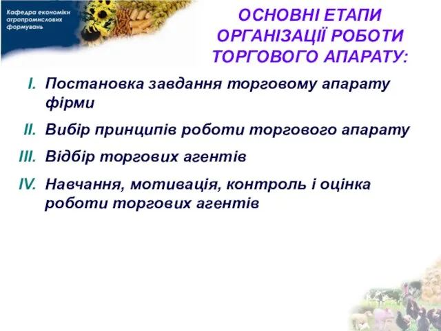 ОСНОВНІ ЕТАПИ ОРГАНІЗАЦІЇ РОБОТИ ТОРГОВОГО АПАРАТУ: Постановка завдання торговому апарату фірми Вибір