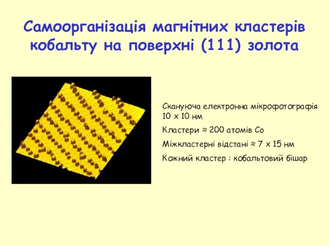 Самоорганізація магнітних кластерів кобальту на поверхні (111) золота Скануюча електронна мікрофотографія 10