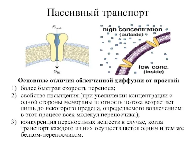 Пассивный транспорт Основные отличия облегченной диффузии от простой: более быстрая скорость переноса;