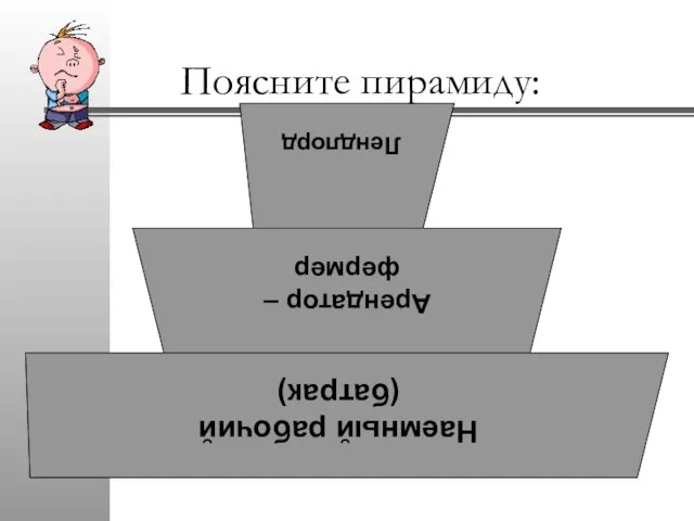 Поясните пирамиду: