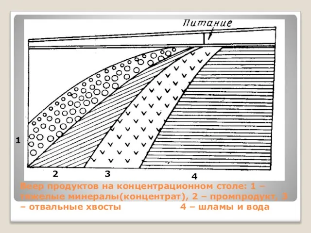 Веер продуктов на концентрационном столе: 1 – тяжелые минералы(концентрат), 2 – промпродукт,