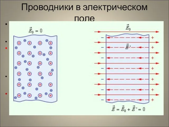 Проводники в электрическом поле Основная особенность проводников – наличие свободных зарядов (электронов),