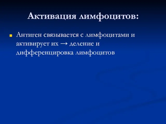 Активация лимфоцитов: Антиген связывается с лимфоцитами и активирует их → деление и дифференцировка лимфоцитов