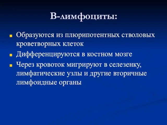 В-лимфоциты: Образуются из плюрипотентных стволовых кроветворных клеток Дифференцируются в костном мозге Через