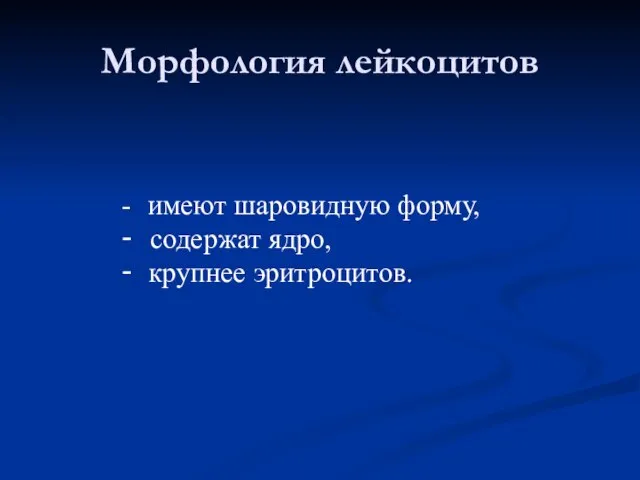 Морфология лейкоцитов - имеют шаровидную форму, - содержат ядро, - крупнее эритроцитов.