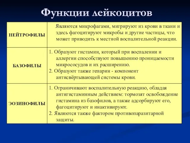 Функции лейкоцитов