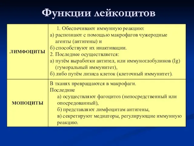 Функции лейкоцитов