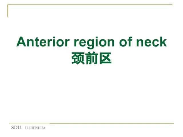 Anterior region of neck 颈前区