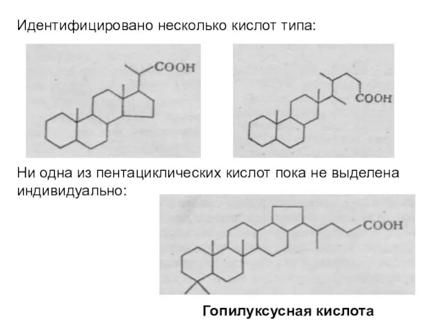 Идентифицировано несколько кислот типа: Ни одна из пентациклических кислот пока не выделена индивидуально: Гопилуксусная кислота