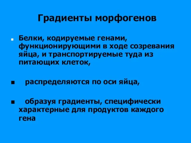 Градиенты морфогенов Белки, кодируемые генами, функционирующими в ходе созревания яйца, и транспортируемые