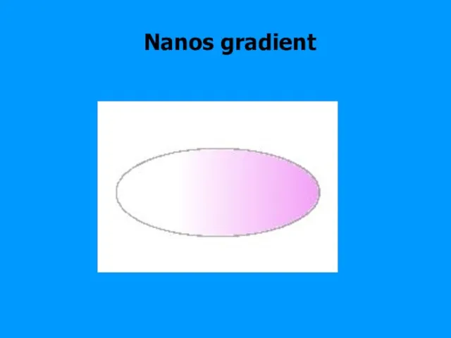 Nanos gradient