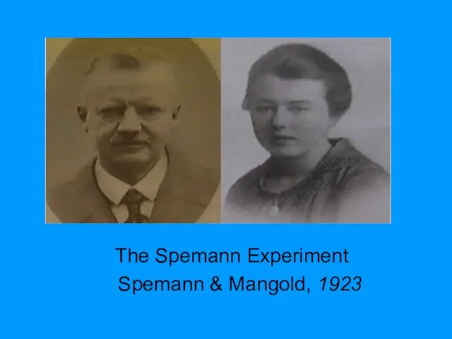 The Spemann Experiment Spemann & Mangold, 1923