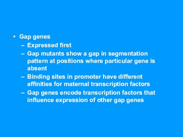 Gap genes Expressed first Gap mutants show a gap in segmentation pattern