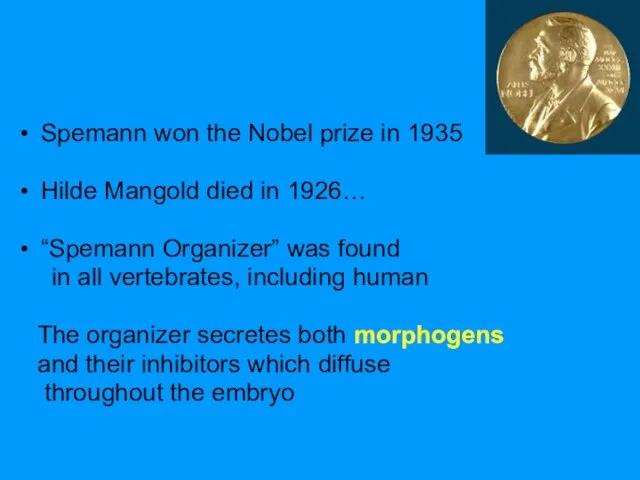 Spemann won the Nobel prize in 1935 Hilde Mangold died in 1926…