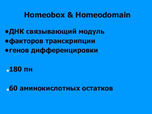 Homeobox & Homeodomain ДНК связывающий модуль факторов транскрипции генов дифференцировки 180 пн 60 аминокислотных остатков