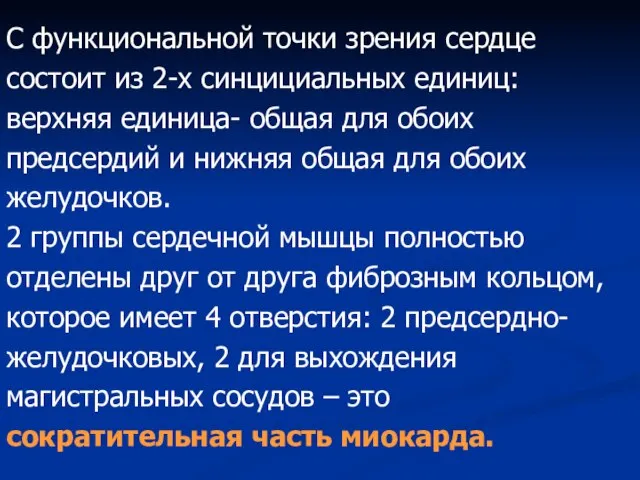 С функциональной точки зрения сердце состоит из 2-х синцициальных единиц: верхняя единица-