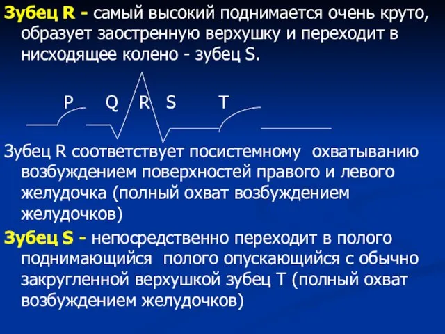 Зубец R - самый высокий поднимается очень круто, образует заостренную верхушку и