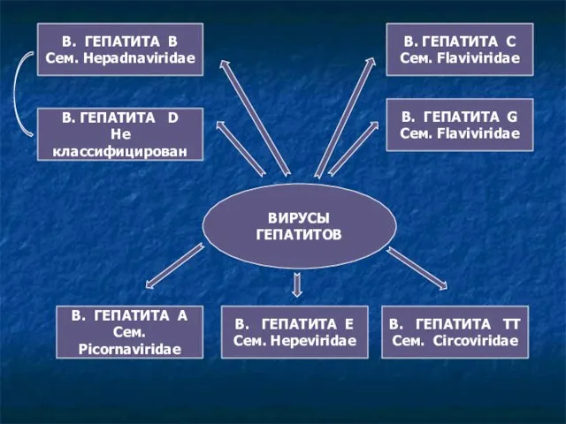 ВИРУСЫ ГЕПАТИТОВ В. ГЕПАТИТА А Сем. Picornaviridae В. ГЕПАТИТА Е Сем. Hepeviridae