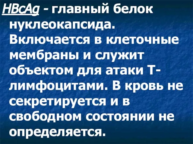 HBcAg - главный белок нуклеокапсида. Включается в клеточные мембраны и служит объектом