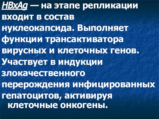 HBxAg — на этапе репликации входит в состав нуклеокапсида. Выполняет функции трансактиватора